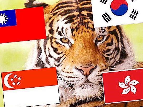 Tình hình của bốn nền kinh tế châu Á “Con Hổ” vào thời điểm đó như thế nào?