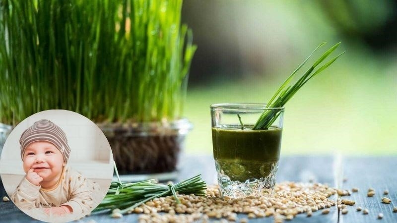 6 cách dùng nước ép cỏ lúa mì để điều trị bệnh vàng da ở trẻ sơ sinh